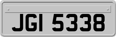 JGI5338