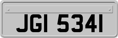 JGI5341