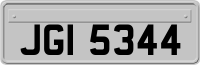 JGI5344