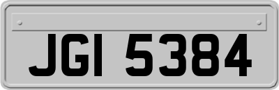 JGI5384