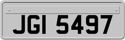 JGI5497