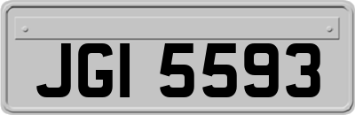 JGI5593
