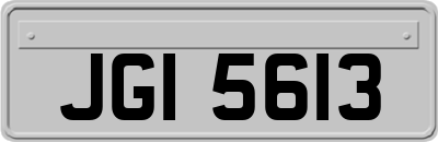 JGI5613