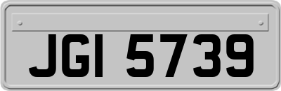 JGI5739