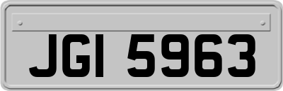 JGI5963