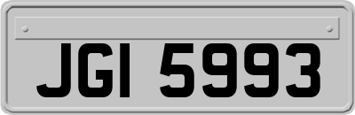 JGI5993