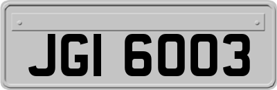 JGI6003