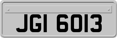 JGI6013