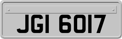 JGI6017