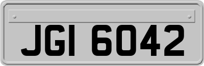 JGI6042