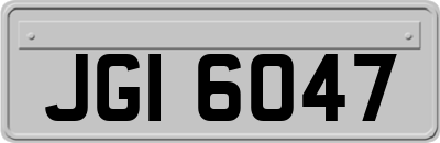 JGI6047