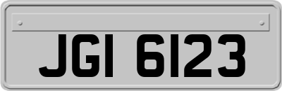 JGI6123