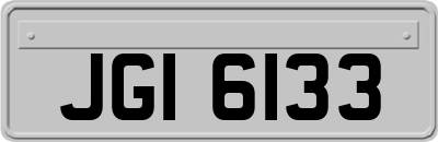 JGI6133
