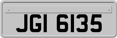 JGI6135