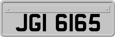 JGI6165