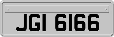 JGI6166