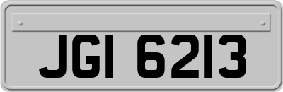 JGI6213