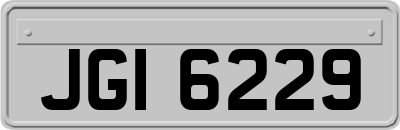 JGI6229