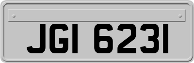 JGI6231
