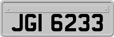 JGI6233