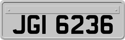 JGI6236