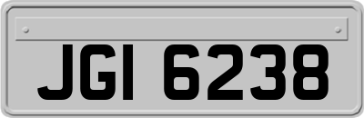 JGI6238