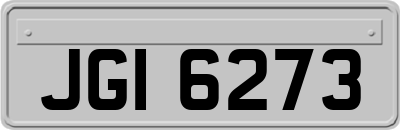JGI6273