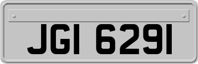 JGI6291