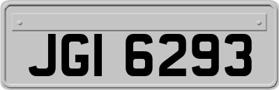 JGI6293