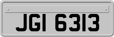 JGI6313