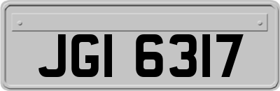 JGI6317