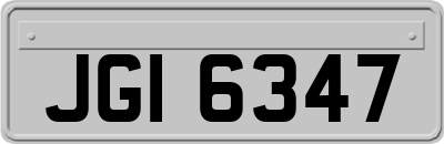 JGI6347