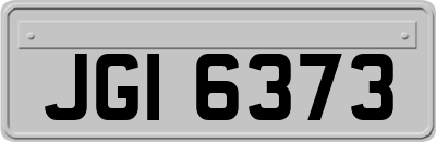 JGI6373