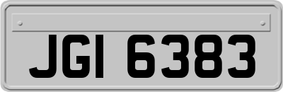 JGI6383