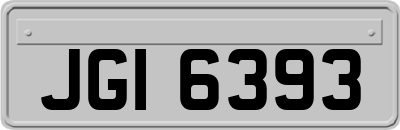 JGI6393