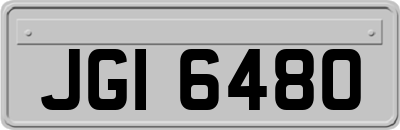 JGI6480