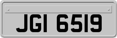 JGI6519