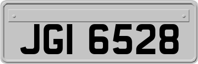 JGI6528