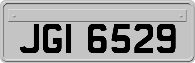 JGI6529