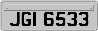 JGI6533