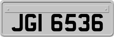 JGI6536