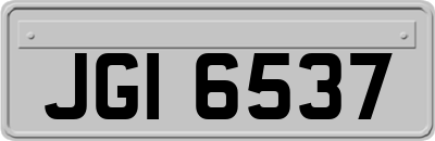 JGI6537