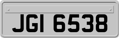 JGI6538