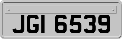 JGI6539