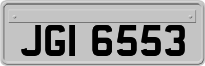 JGI6553