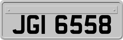 JGI6558