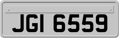 JGI6559