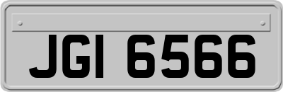 JGI6566