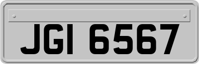 JGI6567