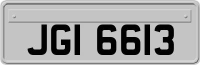 JGI6613